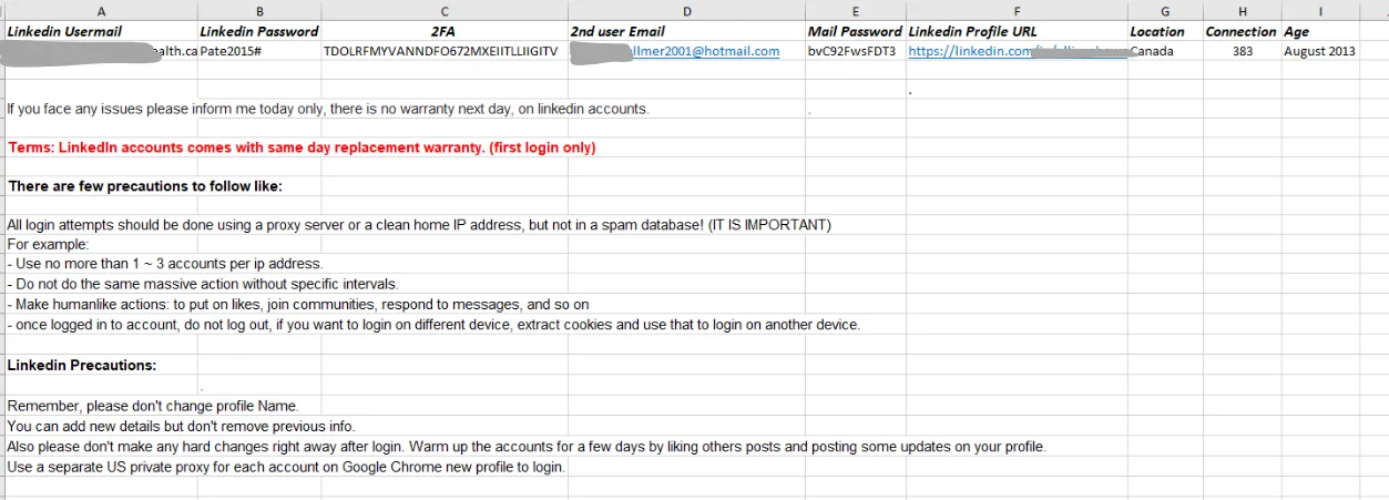 Excel spreadsheet of the purchased account's login, 2FA codes and usage precautions
